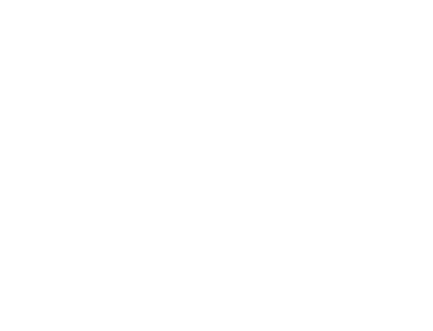 Baila Tampa Bay